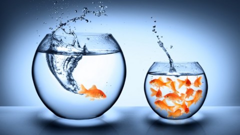 Should I Use Posted Mail or Door Drop ? What’s Best?