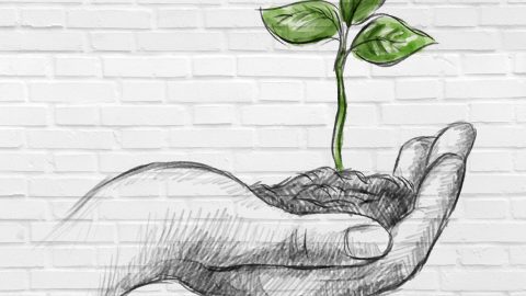 3 Easy Ways to Make Mail Environmentally Friendly